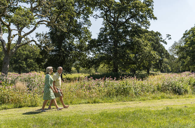 Gardens at Newton Surmaville 