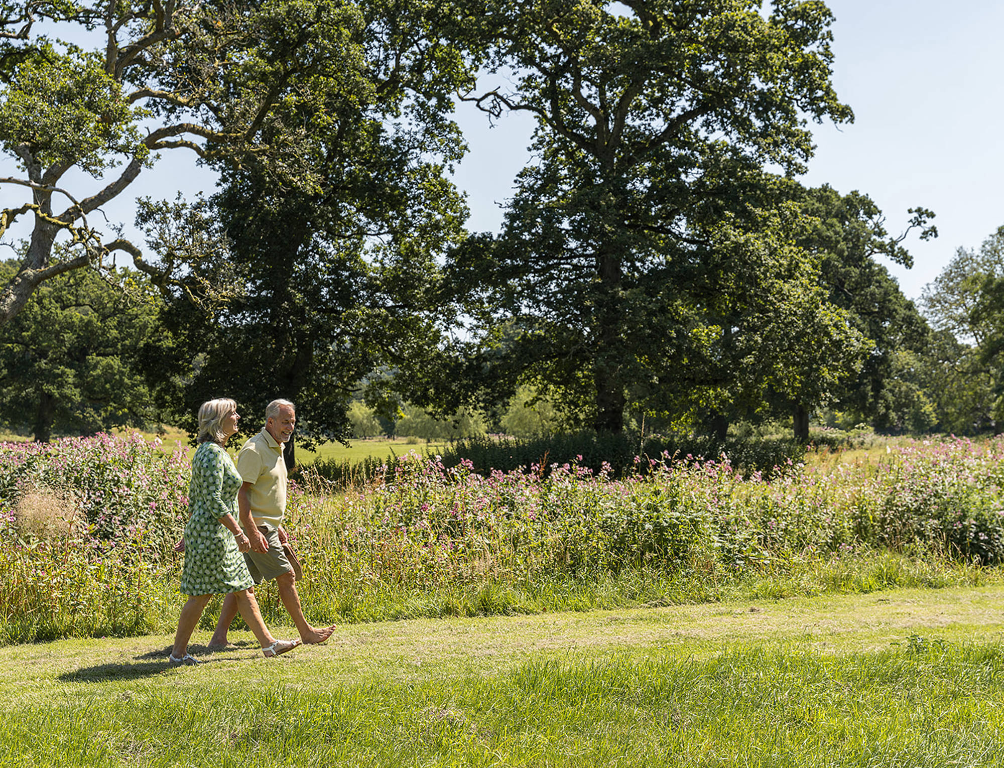 Walks in the grounds 