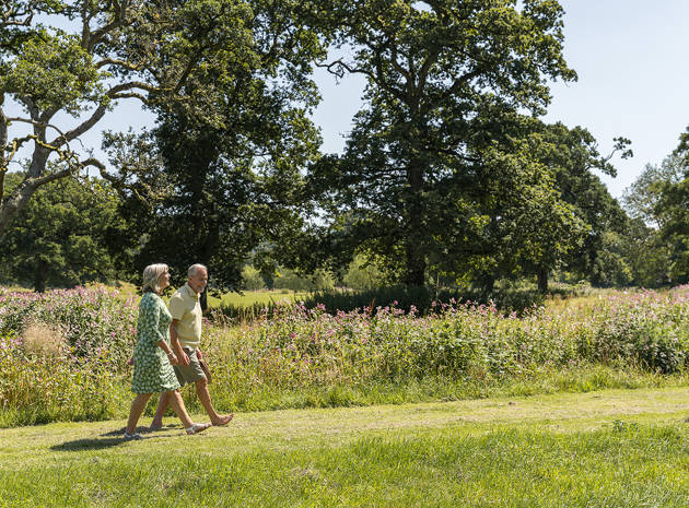 Walks in the grounds 