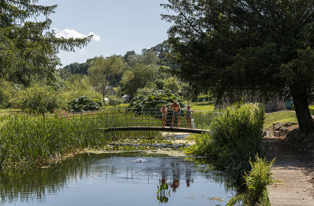 Gardens at Newton Surmaville 