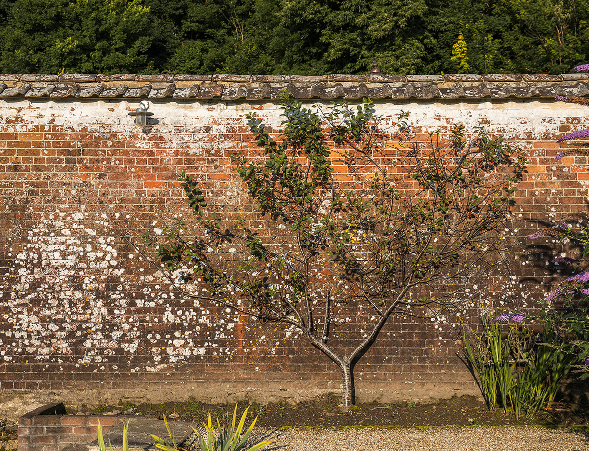 Gardens at Newton Surmaville 