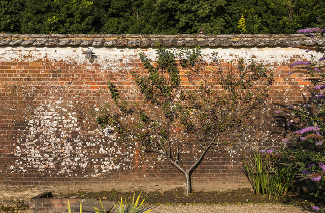 Gardens at Newton Surmaville 