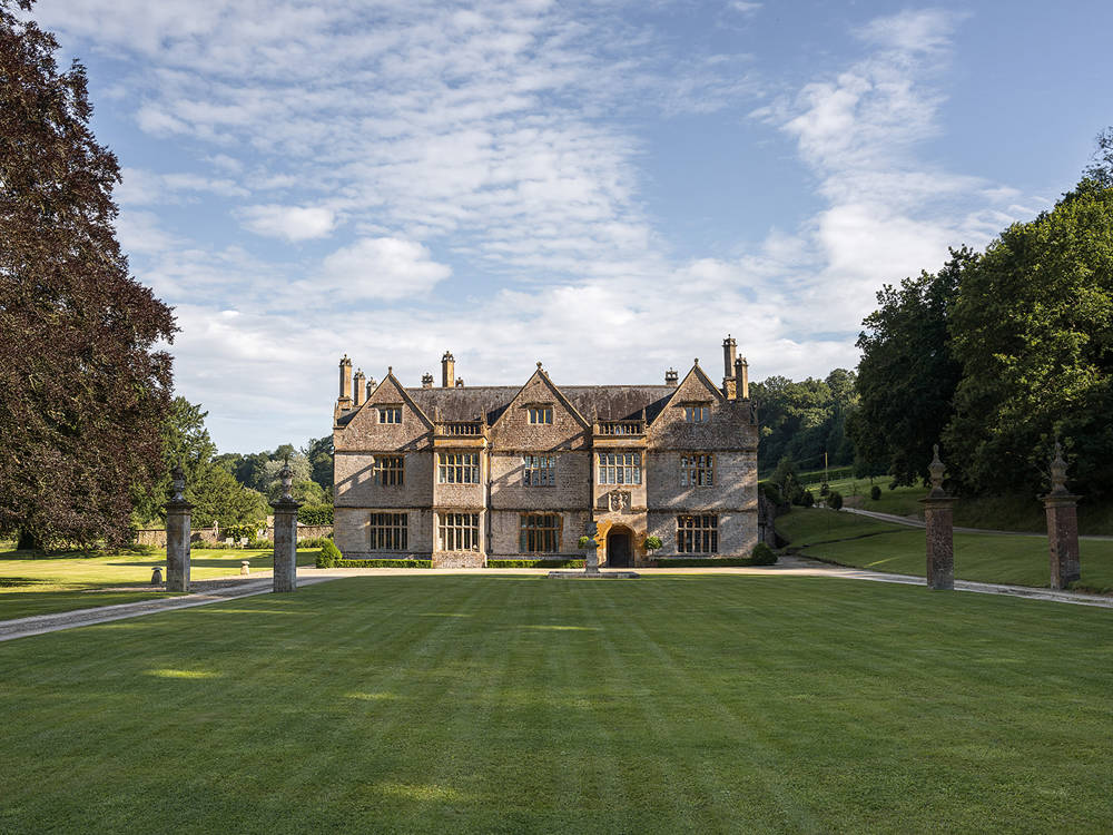 Newton Surmaville