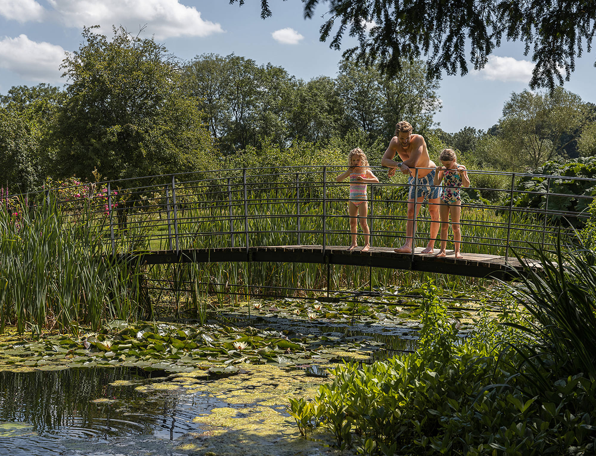 Gardens at Newton Surmaville 